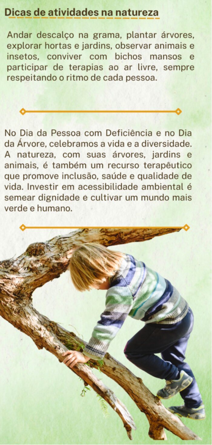 Criança explorando um galho de árvore