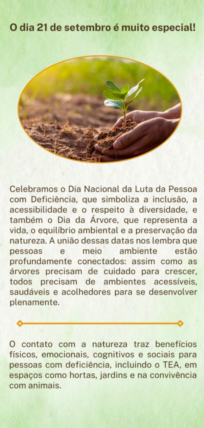 Mãos plantando uma muda